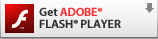 Get ADOBE FLASH PLYERFLASH PLAYER